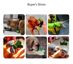 PETZ R US Poop Bags Wheat Straw Dispenser with Leash Clip- Green, Eco-Friendly Portable Poop Bag Dispenser for Dogs & Cats, Lightweight and Leak Proof Dispenser, Large encough to carry poop bags