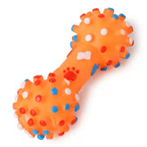 PETZ R US Pet Squeaky Printed Dumbbell Toy Pack of 2 for Dogs Ð Durable, Non-Toxic Chew Toys for Play, Teething, and Oral Health