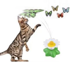 PETZ R US Catnip Butterfly Cat Toy for cat Playing