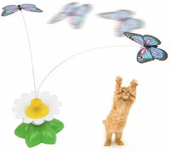 PETZ R US Catnip Butterfly Cat Toy for cat Playing