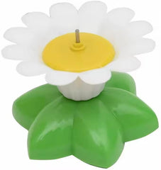 PETZ R US Catnip Butterfly Cat Toy for cat Playing