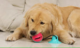 PETZ R US Pet Dog Puzzle Food Treat Dispensing Toy Ð Interactive Fun & Exercise Play Toy for Dogs, Promotes Mental Stimulation and Healthy Eating