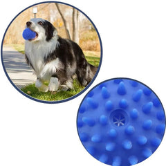 PETZ R US Dog Squeaky Toy Ð Chew Thorn Ball for Dogs, Fun & Exercise Play Toy Ð Set of 2 (Small & Large), Promotes Healthy Chewing and Entertainment