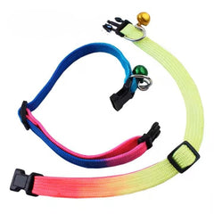 PETZ R US R US Nylon PET Collar with Bells | Pet Collar for Cats Small Puppies n Small Dogs Comfort, Style, and A Jingle of Fun - Mixed Colors - (Set of 3)