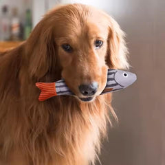 PETZ R US Pet Plush Chew Fish Toy for Cats & Dogs Ð Soft, Durable, Non-Toxic Interactive Toy for Chewing, Play, and Dental Health