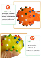 PETZ R US Pet Squeaky Printed Dumbbell Toy Pack of 2 for Dogs Ð Durable, Non-Toxic Chew Toys for Play, Teething, and Oral Health