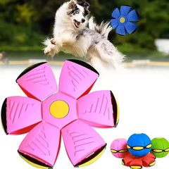 PETZ R US Pet Jumping Disk Toy for Dogs Ð LED Flying Saucer Throw Disk, Interactive Light-Up Fetch Toy for Pets