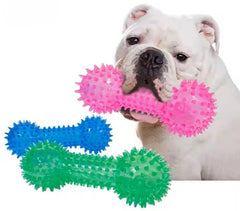 PETZ R US Pet Squeaky Oval Ball & Dumbble Chew Toy for Dogs Ð Interactive, Durable, Non-Toxic Toy for Teething, Chewing, and Dental Health-Multicolor