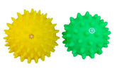 PETZ R US Dog Squeaky Toy Ð Chew Thorn Ball for Dogs, Fun & Exercise Play Toy Ð Set of 2 (Small & Large), Promotes Healthy Chewing and Entertainment