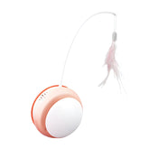 PETZ R US Rolling Tumbler Catnip Toy for Cats | Motion Sensor Interactive Exercise Toy | 2 Play Modes | Cat Activity Toy for Indoor Cats | Mental Stimulation & Fun