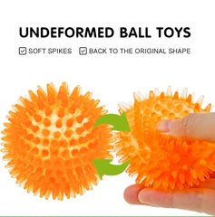 PETZ R US Dog Squeaky Toy Ð Chew Thorn Ball for Dogs, Fun & Exercise Play Toy Ð Set of 2 (Small & Large), Promotes Healthy Chewing and Entertainment