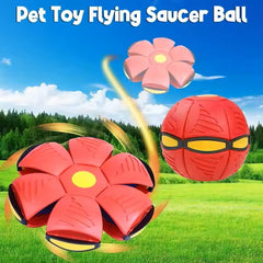 PETZ R US Pet Jumping Disk Toy for Dogs Ð LED Flying Saucer Throw Disk, Interactive Light-Up Fetch Toy for Pets