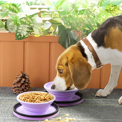 PETZ R US Large Silicone Portable Food Bowl for Pets – Foldable, Durable, Non-Toxic Travel Bowl for Dogs & Cats, Ideal for Food and Water on The Go