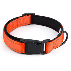 PETZ R US Reflective Nylon Dog Collar Ð Stylish, Durable, and Built for Safety