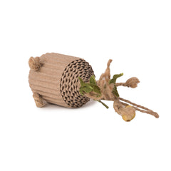 PETZ R US Catnip Cardboard Chew Toy for Cats | Eco-Friendly Cat Teething & Dental Care Toy | Interactive Catnip Play Toy for Healthy Teeth & Gums | Non-Toxic, Durable - Set of 2 - Brown - Assorted