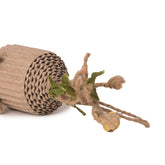 PETZ R US Catnip Cardboard Chew Toy for Cats | Eco-Friendly Cat Teething & Dental Care Toy | Interactive Catnip Play Toy for Healthy Teeth & Gums | Non-Toxic, Durable - Set of 2 - Brown - Assorted