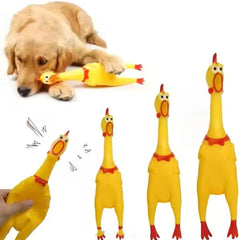 PETZ R US Chew Squeaky Cuckoo Set of 2 for Dogs Ð Fun, Interactive, Non-Toxic Chew Toys for Dogs, Perfect for Play, Chewing, and Entertainment