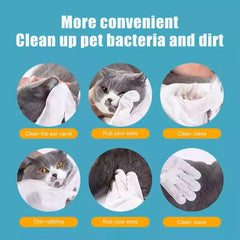 PETZ R US Pet Grooming Glove Wipes for Cats & Dogs - Deodorant, Antibacterial, Long Lasting Fragrance, Hypoallergenic, Non-Toxic Cleaning with Aloe Extract & Jojoba Oil - Rinse Free - Pack of 6 Pcs