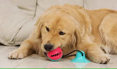 PETZ R US Pet Dog Puzzle Food Treat Dispensing Toy Ð Interactive Fun & Exercise Play Toy for Dogs, Promotes Mental Stimulation and Healthy Eating