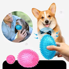 PETZ R US Pet Squeaky Oval Ball & Dumbble Chew Toy for Dogs Ð Interactive, Durable, Non-Toxic Toy for Teething, Chewing, and Dental Health-Multicolor