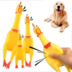 PETZ R US Chew Squeaky Cuckoo Set of 2 for Dogs Ð Fun, Interactive, Non-Toxic Chew Toys for Dogs, Perfect for Play, Chewing, and Entertainment