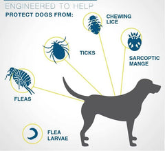 PETZ R US Anti-Tick Collar for Dogs & Cats Ð Effective, Safe, and Long-Lasting Protection Against Ticks, Fleas, and Insects-Multicolor