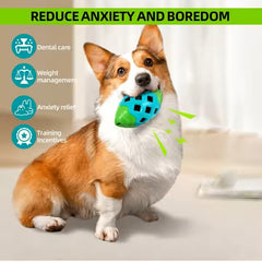 PETZ R US Pet Chew TPY Baseball Toy Ð Durable Rubber Chew Ball for Dogs & Puppies, Interactive Bouncy Toy for Small & Medium Breeds