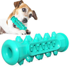PETZ R US Dog Chew Toy Tooth Brush - Heavy Duty, Durable Chew Toy for Teeth Cleaning & Exercise Ð Promotes Healthy Teeth, Gums, and Mental Stimulation