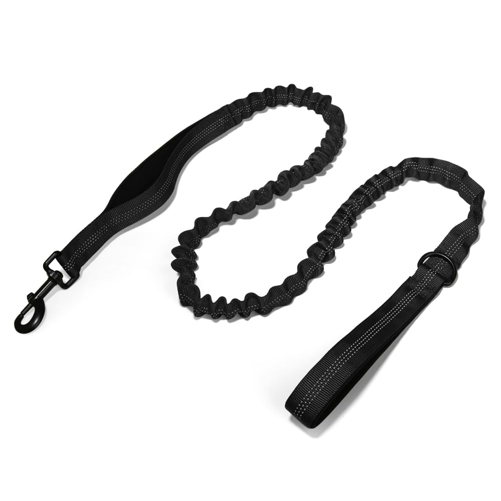 PETZ R US Elastic Tactical Dog Leash Ð Durable & Shock-Absorbing Bungee Leash for Training & Outdoor Walks