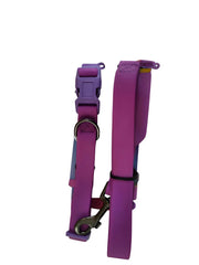 PETZ R US Neoprene Dog Collar with Leash Set Ð Durable & Adjustable Pet Collar