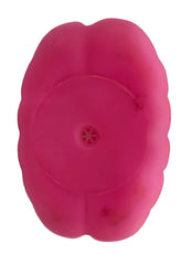 PETZ R US Chew Squeaky Hot Dog & Pizza Toys for Dogs Ð Fun, Durable, Non-Toxic Interactive Chew Toys for Play, Teething, and Dental Health Ð (Set of 2)