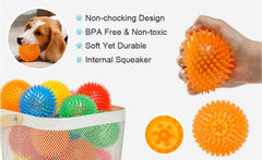 PETZ R US Dog Squeaky Toy Ð Chew Thorn Ball for Dogs, Fun & Exercise Play Toy Ð Set of 2 (Small & Large), Promotes Healthy Chewing and Entertainment